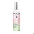 Sie sehen eine Packung Caudalie Eau De Beaute 100ml, Produktbild: 04 Caudalie Eau De Beaute 100ml, A-Nr.: 3378555 - 04