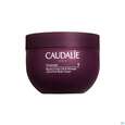 Sie sehen eine Packung Caudalie Vinosculpt Koerperbalsam Liftend 250ml, Produktbild: 01 Caudalie Vinosculpt Koerperbalsam Liftend 250ml, A-Nr.: 5253823 - 01