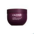Sie sehen eine Packung Caudalie Vinosculpt Koerperbalsam Liftend 250ml, Produktbild: 02 Caudalie Vinosculpt Koerperbalsam Liftend 250ml, A-Nr.: 5253823 - 02
