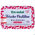 Em-eukal Frische Pastillen Dose Zfr Waldbeere 20g, A-Nr.: 4934053 - 02