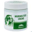 Sie sehen eine Packung Murmeltier Creme -unterweger 100ml, Produktbild: 03 Murmeltier Creme -unterweger 100ml, A-Nr.: 2806368 - 03