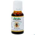 Sie sehen eine Packung Propolis Tropfen -lehar 15ml, Produktbild: 01 Propolis Tropfen -lehar 15ml, A-Nr.: 0663261 - 01