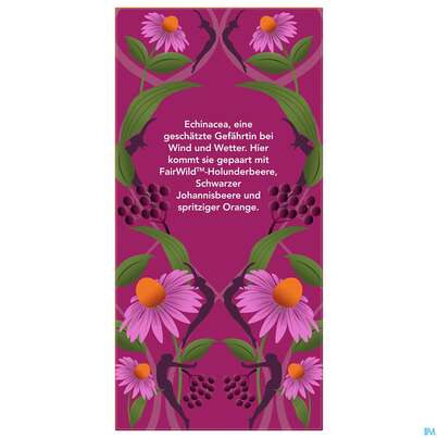 Bio Pukka Holunderbeere &amp; Echinacea 20 Filterbeutel, A-Nr.: 4407922 - 04
