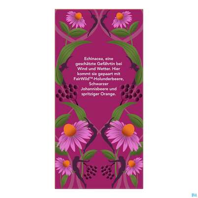 Bio Pukka Holunderbeere &amp; Echinacea 20 Filterbeutel, A-Nr.: 4407922 - 06
