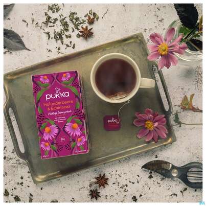 Bio Pukka Holunderbeere &amp; Echinacea 20 Filterbeutel, A-Nr.: 4407922 - 09