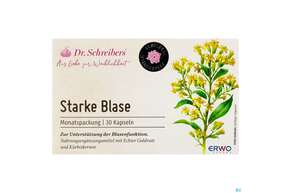 Sie sehen eine Packung Dr.schreibers Starke Blase 30st, Produktbild: 01 Dr.schreibers Starke Blase 30st, A-Nr.: 5751188 - 01