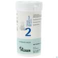 Sie sehen eine Packung Schuess 2 Calc Phos D 6 Pflu 100g, Produktbild: 01 Schuess 2 Calc Phos D 6 Pflu 100g, A-Nr.: 3703251 - 01
