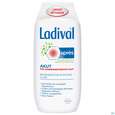 Sie sehen eine Packung Sonnenprodukte Ladival/akut Apres Spray 150ml, Produktbild: 01 Sonnenprodukte Ladival/akut Apres Spray 150ml, A-Nr.: 5358232 - 01